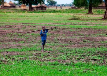 المجاعة تهدد 50 مليون إنسان في القرن الأفريقي (بيان رسمي)