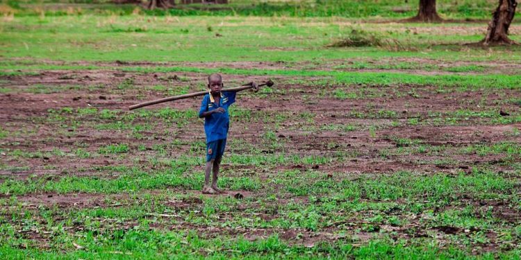 المجاعة تهدد 50 مليون إنسان في القرن الأفريقي (بيان رسمي)