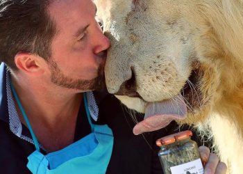 ألمانيا تستخدم روث الحيوانات في هذه المجالات !!