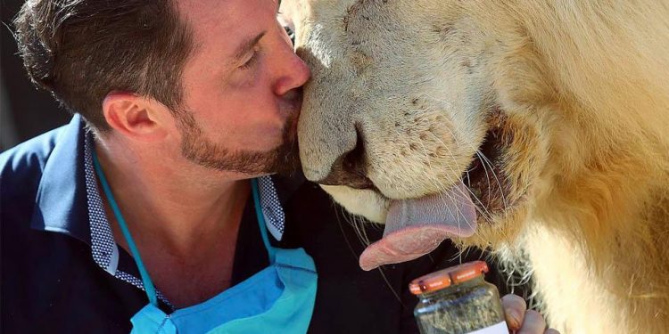 ألمانيا تستخدم روث الحيوانات في هذه المجالات !!