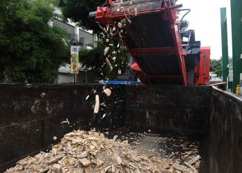 احتفاءًا بيوم الفيل العالمي.. سنغافورة تتلف 9 أطنان من العاج المسروق