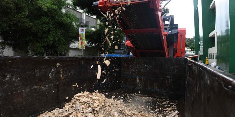 احتفاءًا بيوم الفيل العالمي.. سنغافورة تتلف 9 أطنان من العاج المسروق