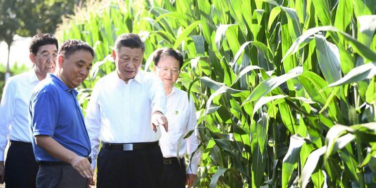 كن اقتصادياً.. الرئيس شي جين بينغ يطالب بإيقاف الهدر