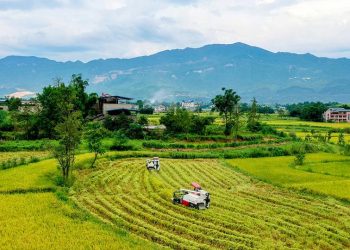 التعبيرات الشعبية باللغة الصينية و معنى الحياة المتواضعة