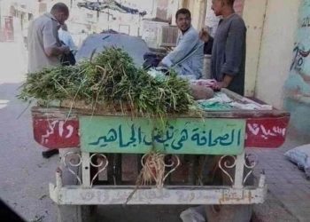 نبض الجماهير !