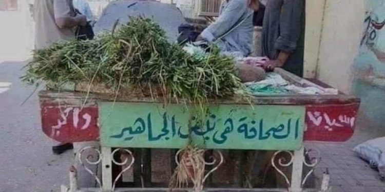 نبض الجماهير !