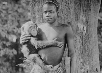 الإنسانية تنتصر لطفل سجنته الولايات المتحدة في قفص القرود