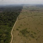 نائب الرئيس البرازيلي يدافع عن غابات منطقة الأمازون