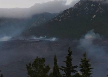 التقديرات الأولية لحرائق الغابات في سورية