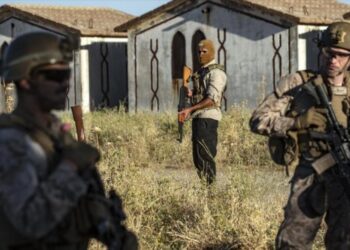 إرهابيو قسد يزرعون نبات الخشخاش المخدر في مناطق انتشار القوات الأمريكية