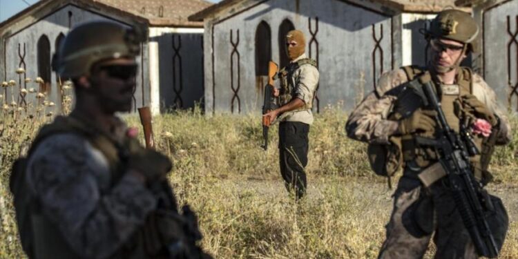 إرهابيو قسد يزرعون نبات الخشخاش المخدر في مناطق انتشار القوات الأمريكية