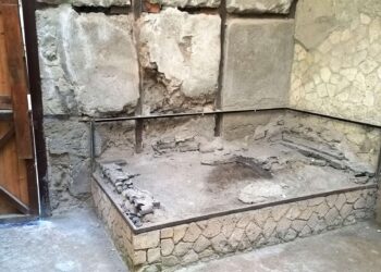 العثور على خلايا عصبية سليمة لضحية ثوران بركان قبل 2000 عام