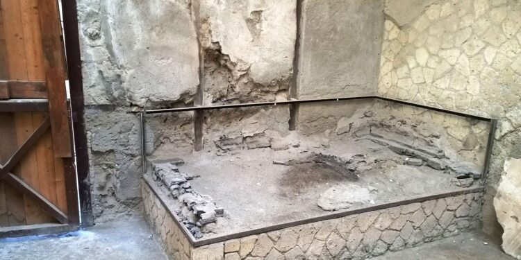 العثور على خلايا عصبية سليمة لضحية ثوران بركان قبل 2000 عام