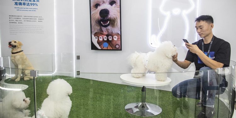 اكتشاف تقنية جديدة للتعرف على بصمة الأنف للحيوانات الأليفة