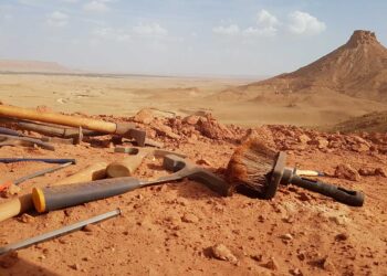ديناصور جديد.. ينعش آمال علم الأحياء في المغرب العربي