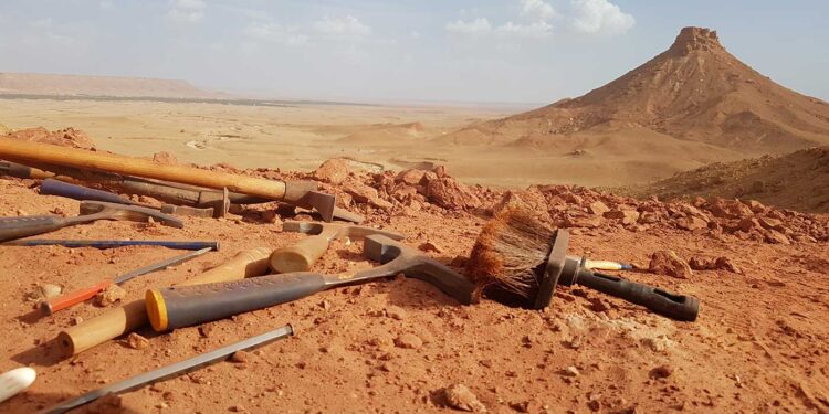 ديناصور جديد.. ينعش آمال علم الأحياء في المغرب العربي