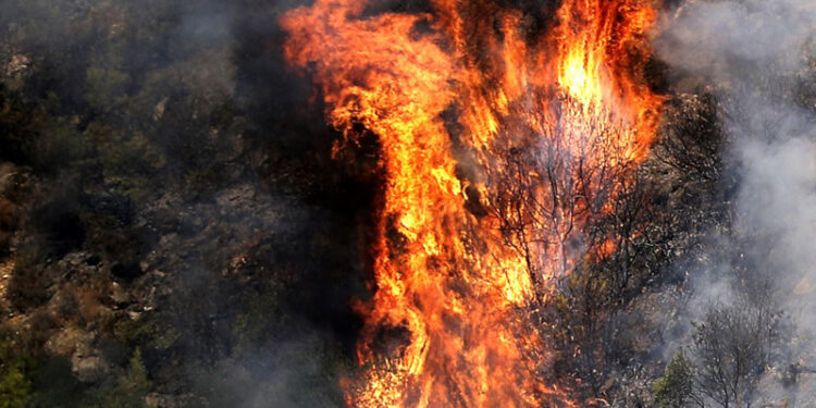 خبير: الحرائق في سوريا مفتعلة وليست طبيعية