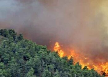 أحدث تصريحات محافظ اللاذقية ابراهيم السالم بخصوص الحرائق