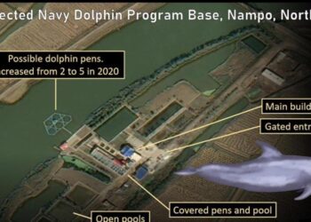 صور الأقمار الصناعية: بيونغ يانغ تدرب الدلافين للاستخدام العسكري