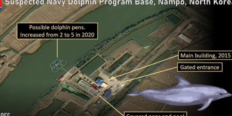 صور الأقمار الصناعية: بيونغ يانغ تدرب الدلافين للاستخدام العسكري