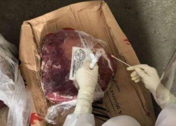 الصين تعثر على فيروس كورونا في اللحوم البرازيلية