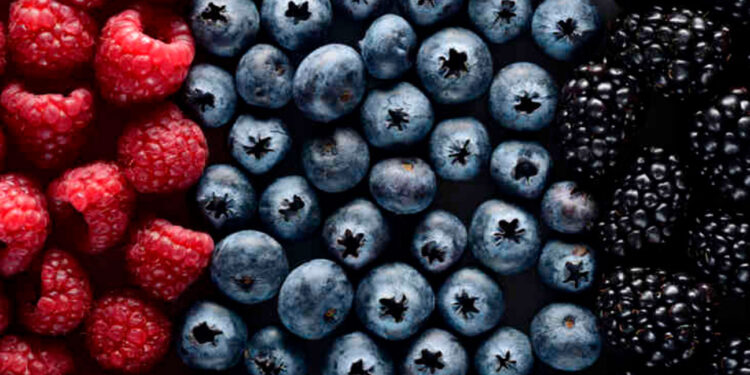 العلماء يعثرون على العصائر التي تقضي على الفيروس بدقيقة واحدة