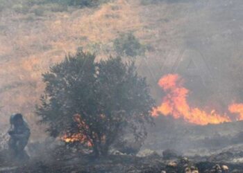 طريقة توزيع تعويضات الفلاحين المتضررين من الحرائق