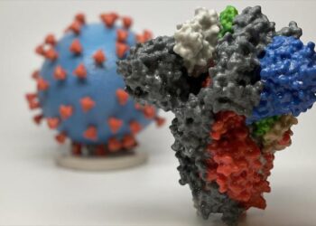 تعرف على الخصائص المخيفة لفيروس كورونا البريطاني الجديد