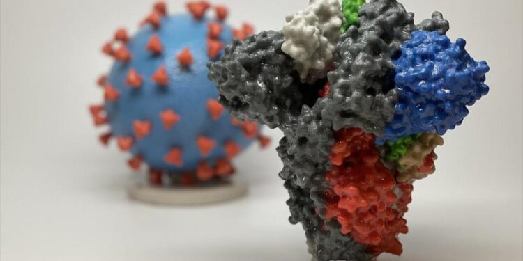 تعرف على الخصائص المخيفة لفيروس كورونا البريطاني الجديد