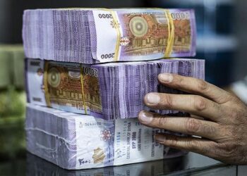 وزيرة التنمية: تتجه الحكومة لتطوير الحوافز و ليس لزيادة الأجور