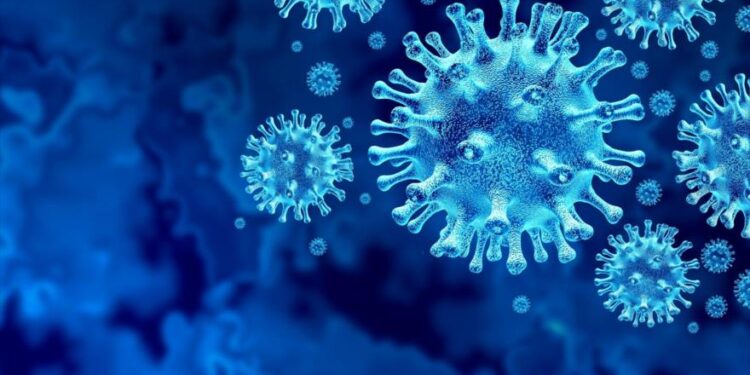 ظهور طفرة جديدة للوباء التاجي في جنوب إفريقيا