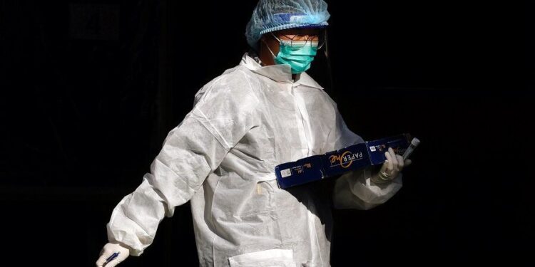 عالمة صينية: فيروسات جديدة من أسرة كورونا قد تنتقل للبشر