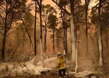 الشهر الذي سجل أعلى درجات حرارة في العالم