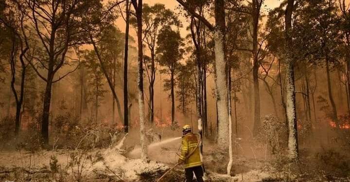 الشهر الذي سجل أعلى درجات حرارة في العالم