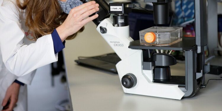 عالم فيروسات يكشف عن مدى خطورة كورونا المتحور