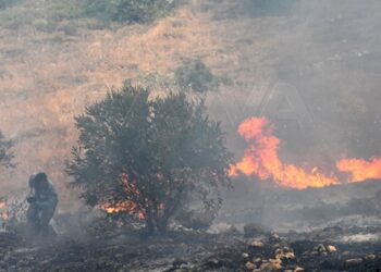 قريباً.. الكشف عن نتائج التحقيقات في الحرائق التي شهدتها سوريا