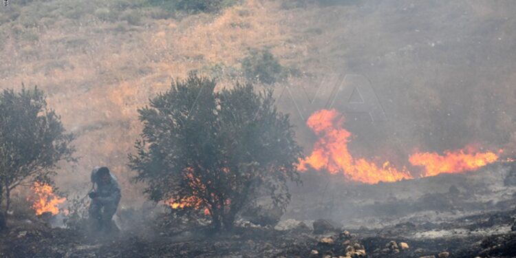 قريباً.. الكشف عن نتائج التحقيقات في الحرائق التي شهدتها سوريا