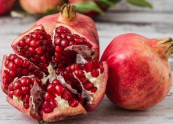 الرمان يقلل خطر الإصابة بالسرطان و يطيل عمر الإنسان