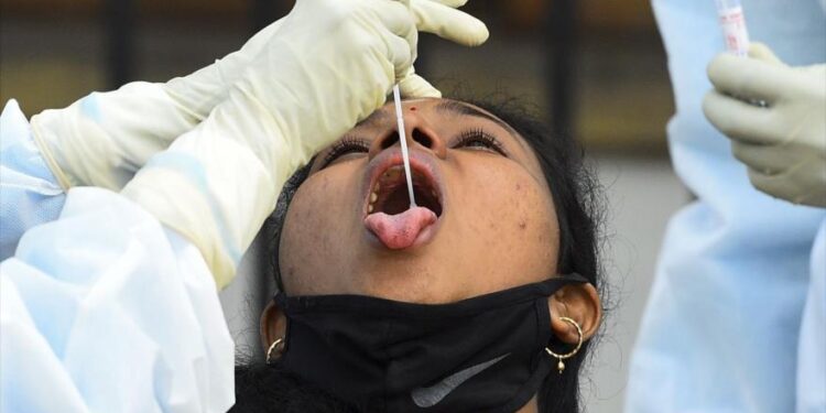 الرابطة الدويلة للأوبئة: عام 2022 قد يحمل بشائر جديدة