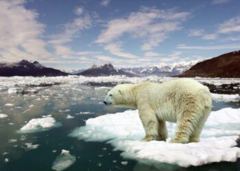 ذوبان الجليد العالمي زاد بنسبة 65٪ في 23 عاماً