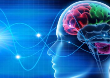 العلماء يعيدون تشغيل أدمغة مرضى الغيبوبة المزمنة