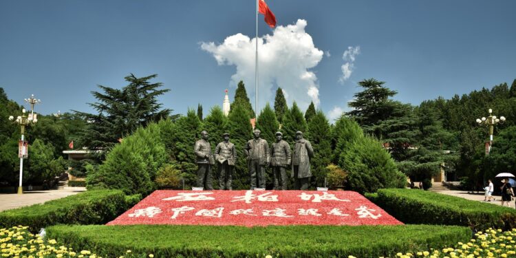 الرئيس الصيني يرد على رسالة من الحزب الثوري