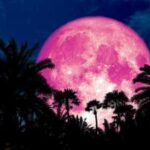 ظهور القمر العملاق بلونه الزهري بعد أيام