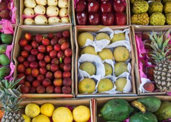 علماء صينيون يكشفون عن سر العمر الطويل