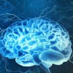 علماء روس يكشفون عن علاقة تربط بين مستوى الذكاء ونشاط الدماغ