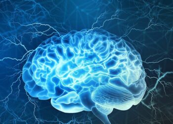 علماء روس يكشفون عن علاقة تربط بين مستوى الذكاء ونشاط الدماغ