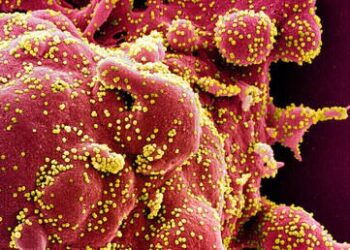 الصحة العالمية تمدد حالة الطوارئ بالعالم