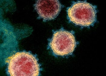 الصحة العالمية: عدد الوفيات بكورونا أعلى بمرتين أو ثلاث مرات من العدد المسجل رسمياً