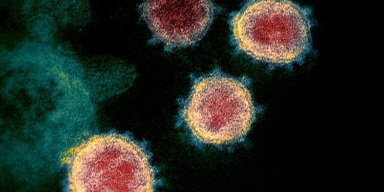 الصحة العالمية: عدد الوفيات بكورونا أعلى بمرتين أو ثلاث مرات من العدد المسجل رسمياً