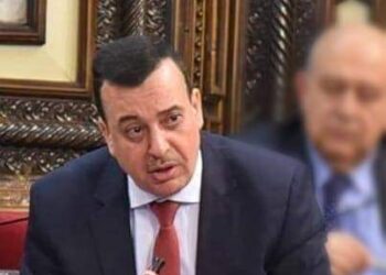 عضو مجلس الشعب.. وزارة الصحة نقص في الخبرة والاستراتيجية وأبواب مغلقة